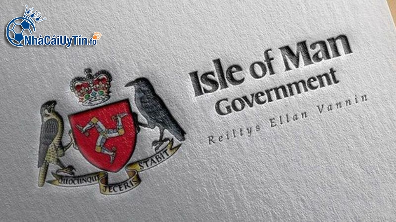 Hiểu rõ cách soi giấy phép nhà cái giúp bạn chọn sân chơi xanh chín